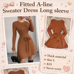 Fitted Long Sleeve Sweater Dress