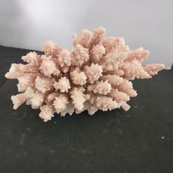 Natural Pink Finger Coral