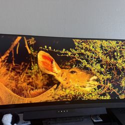 Dell C3422WE 34” Curved WQHD Monitor – USB-C (90W) – $450