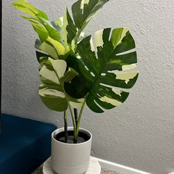 MOVE OUT SALE!!! Ikea Fake Plant With Vase And Stand