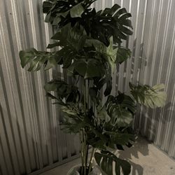 Fake Tree Plant