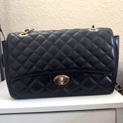 Guess Purse 