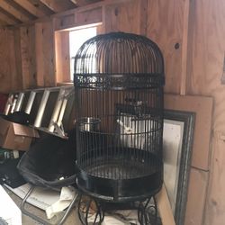 Bird Cage