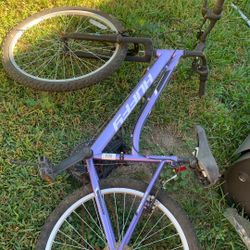 Purple Bike 