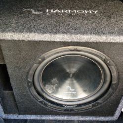 12" Subwoofer 
