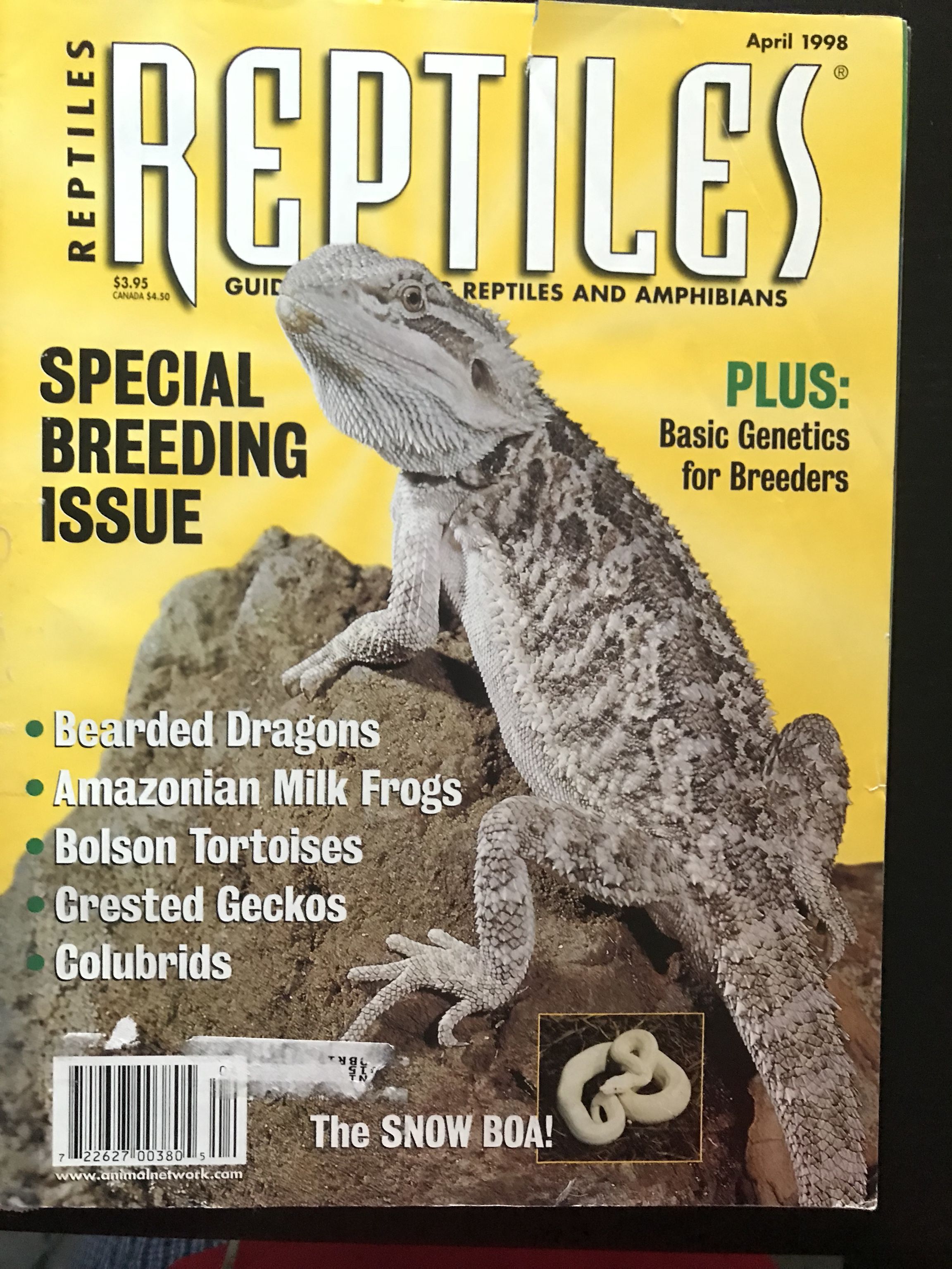 Reptiles Magazine Nov. 1998