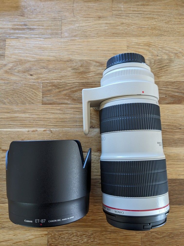 Canon 70-200mm 1:2.8 EF Lens 