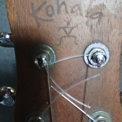 Ukulele 
