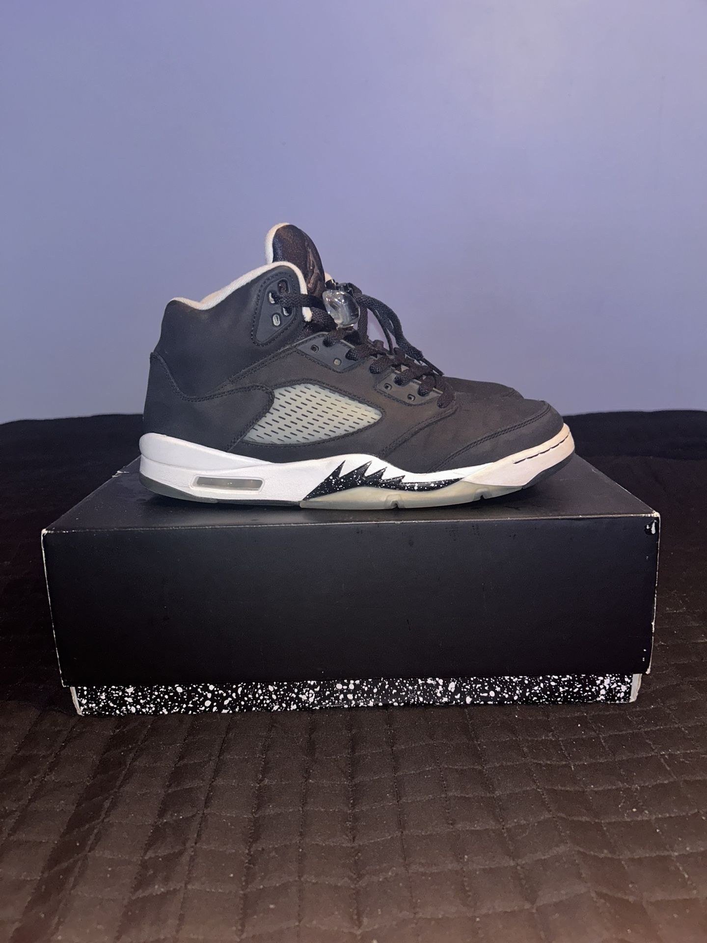 Jordan 5 Retro Moonlight (2021)