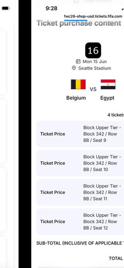 FIFA World Cup Belgium vs Egypt Lumen Field Seattle