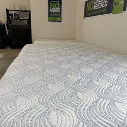 MEMORY FOAM CLEARANCE!