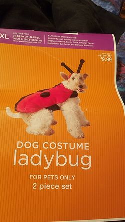 Ladybug costume for dog