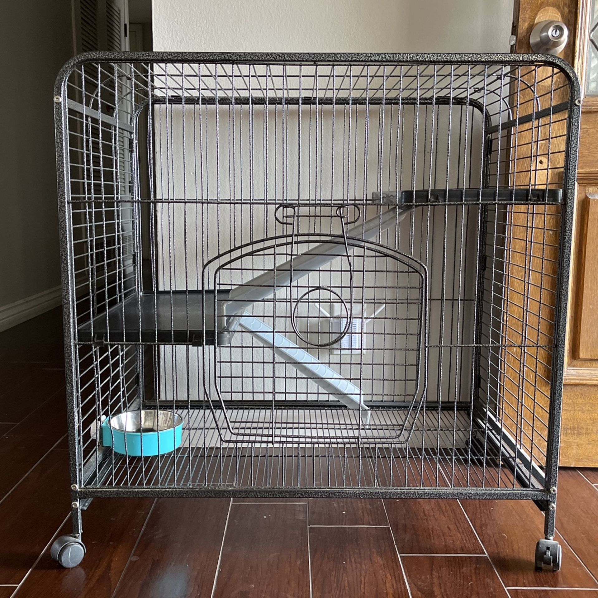 Should You Put Food And Water In A Dog Crate