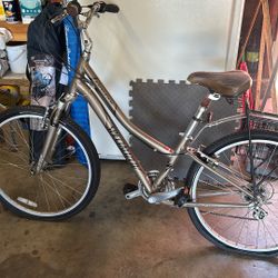 Specialized Expedition Bike