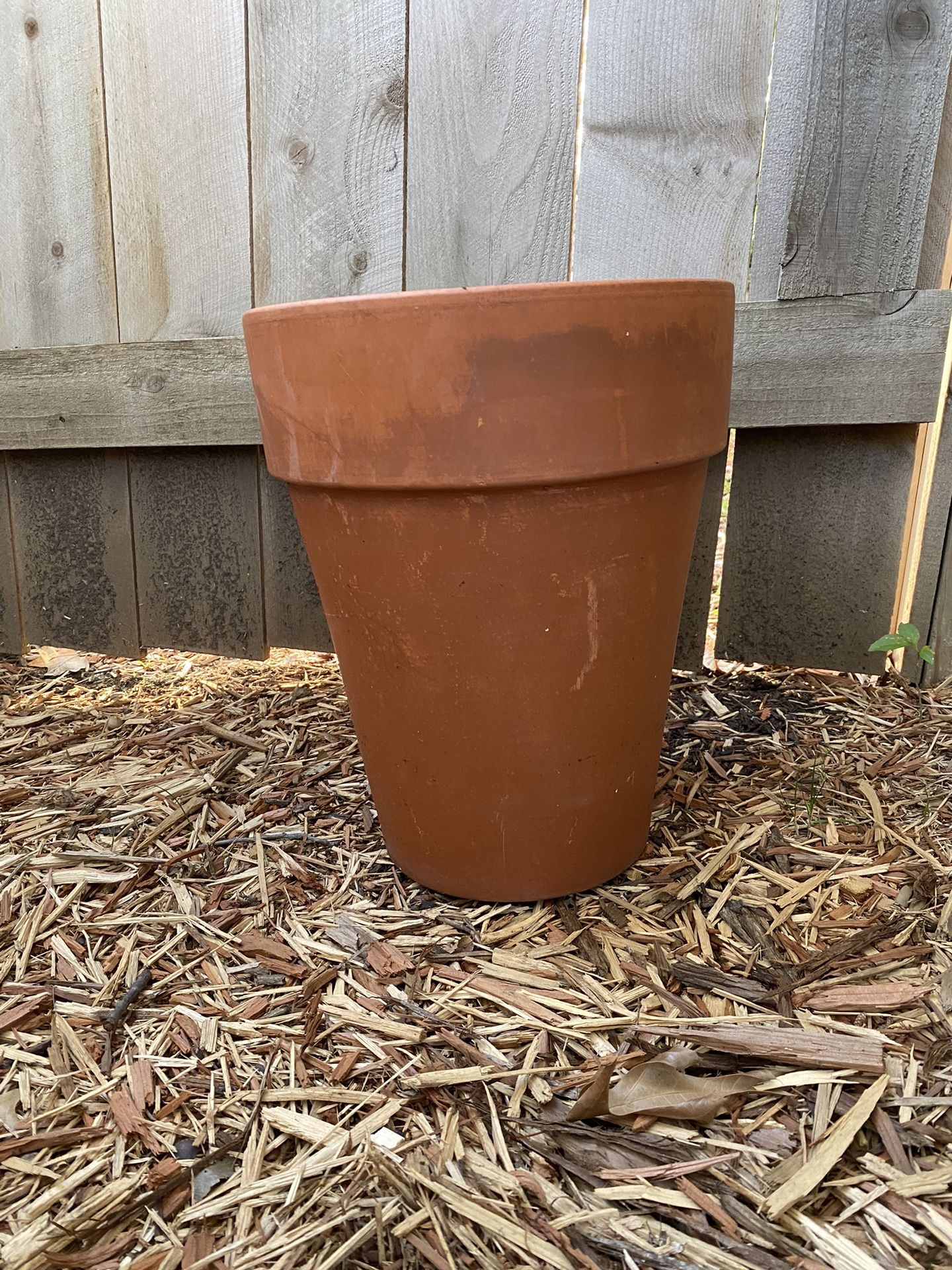terra cotta planter pot