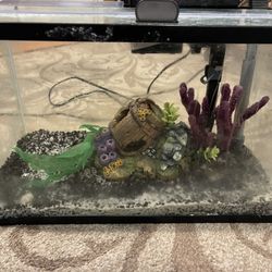 10 Gallon Tank Aquarium