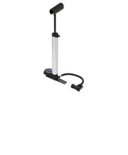 Schwinn Frame-To-Floor Bike and tire Pump