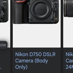 Nikon D750 And Sigma 85mm F1.4