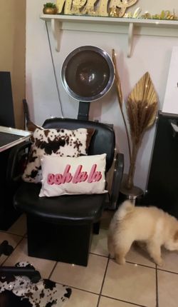 Comfort Aire Collins Hairdryer Chair