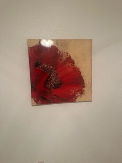 Picture/wall Decore / Wall Art