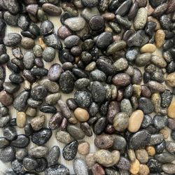 Decorative Pebble Rocks Different Shapes and Sizes from Mexico's Finest Beaches, 100% Organic Non Toxic Decorate Your Home, Garden, Office