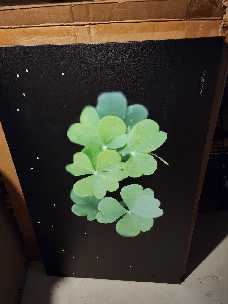 Trademark Global Kathie McCurdy "Clover" Canvas Art, 30" x 47"