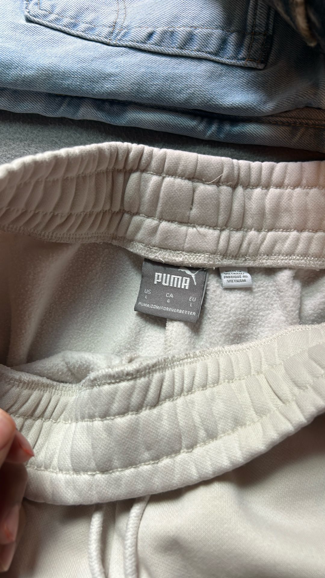 Puma