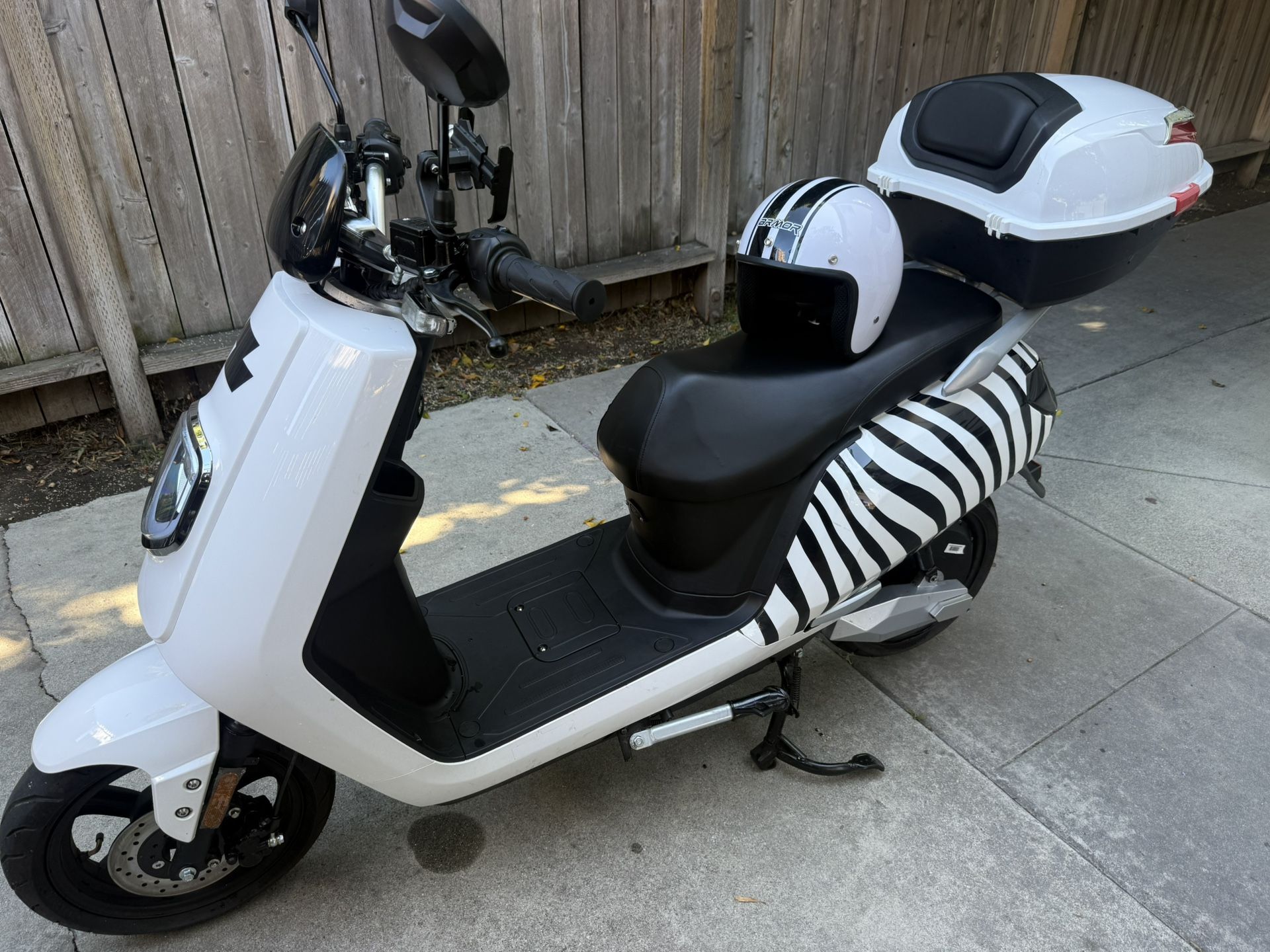 2025 Zebra Electric
