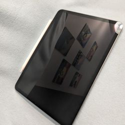 iPad Pro - 11in 2nd Gen - 256Gb