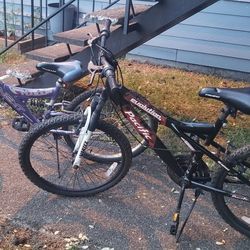 2 Moutian Bikes $40 Each 