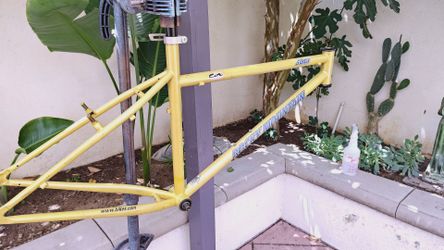 Rocky mountain bike frame