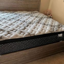 Queen/ king Mattress Sale
