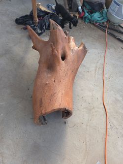 Large Natural Wood Burl Root Piece
