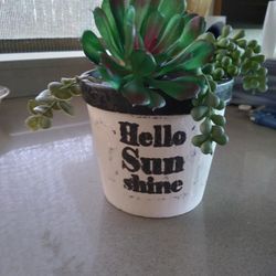 I Distressed The Pot For Succulents$7 Blue Rocks