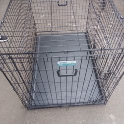 Dog 🐯 Crate XL 
