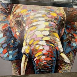 Baby Elephant Portrait 