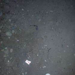 B series hydro tranny 5 speed Ls