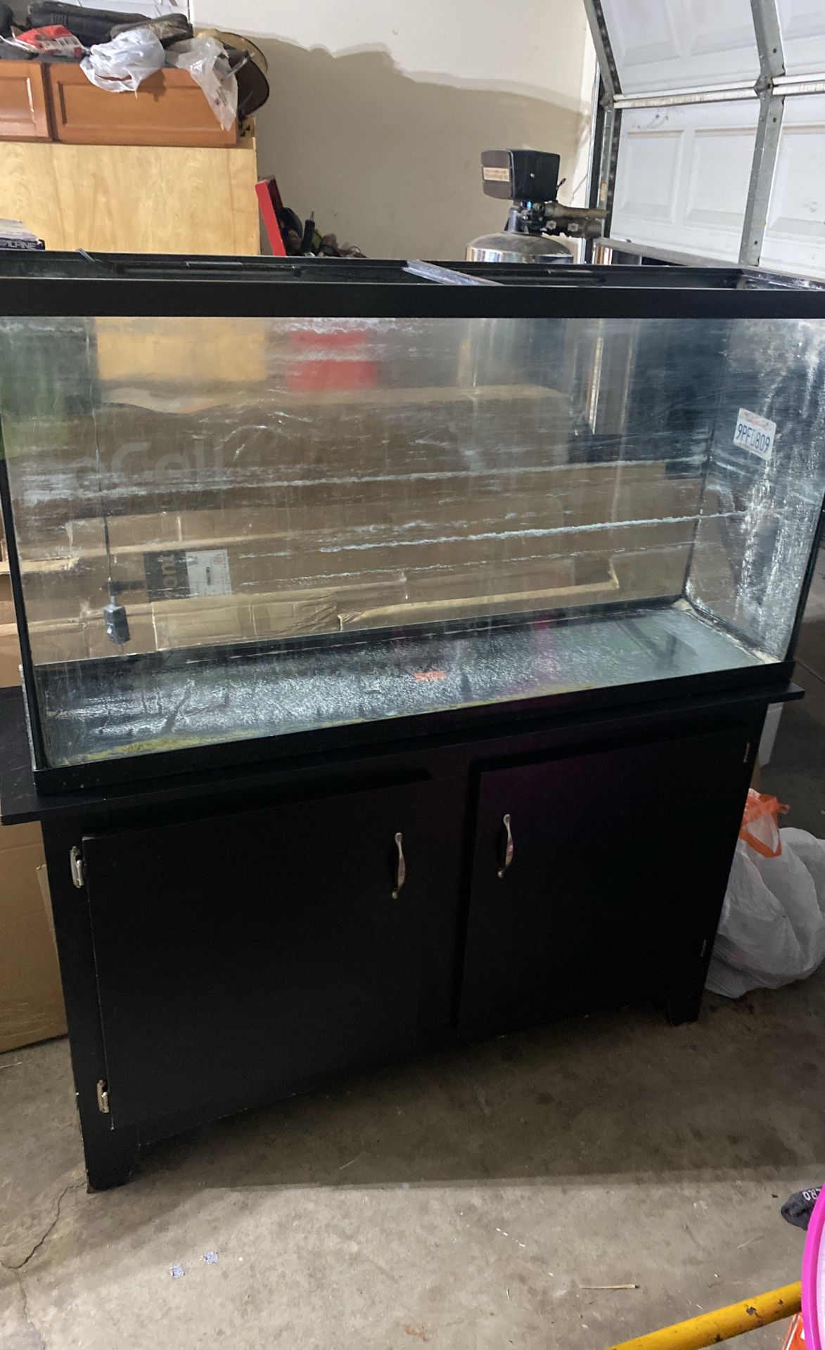 Fish Tank
