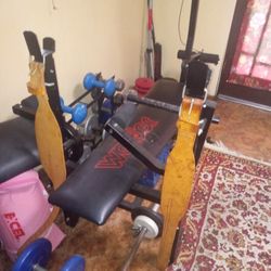 Weight Bench And Weights 