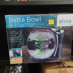 Betta Bowl Fish Tank