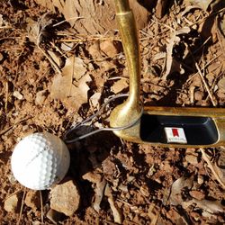 24 K Gold Putter Shild Is Mickelob