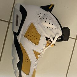 Retro Jordan 6