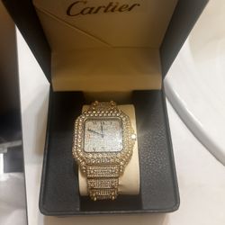 Cartier Iced Diamond watch