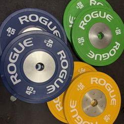 Rogue Color 2.0 Training Plates