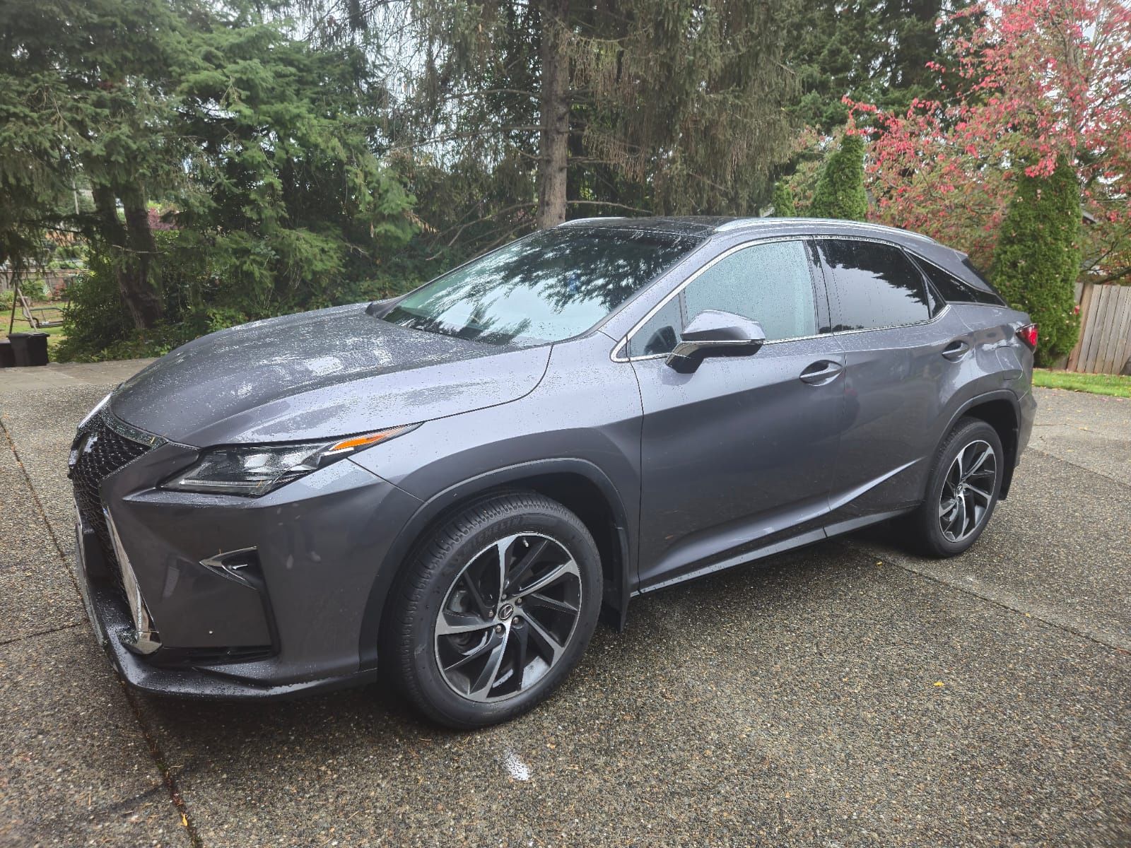 2019 Lexus Rx 350