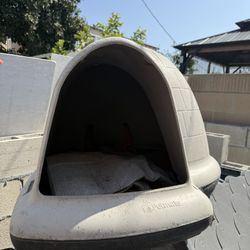 Dog House 