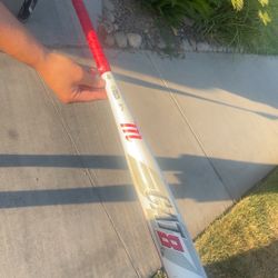 Cat 8 Baseball Bat Drop -8