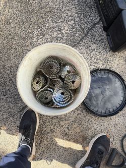 Collated roofing nails