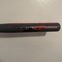 Easton Softball Bat
