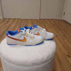 Nike Dunk Low Retro Se